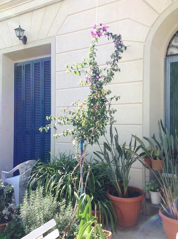 Casa Fornaciari Bed & Breakfast Viareggio Exterior photo